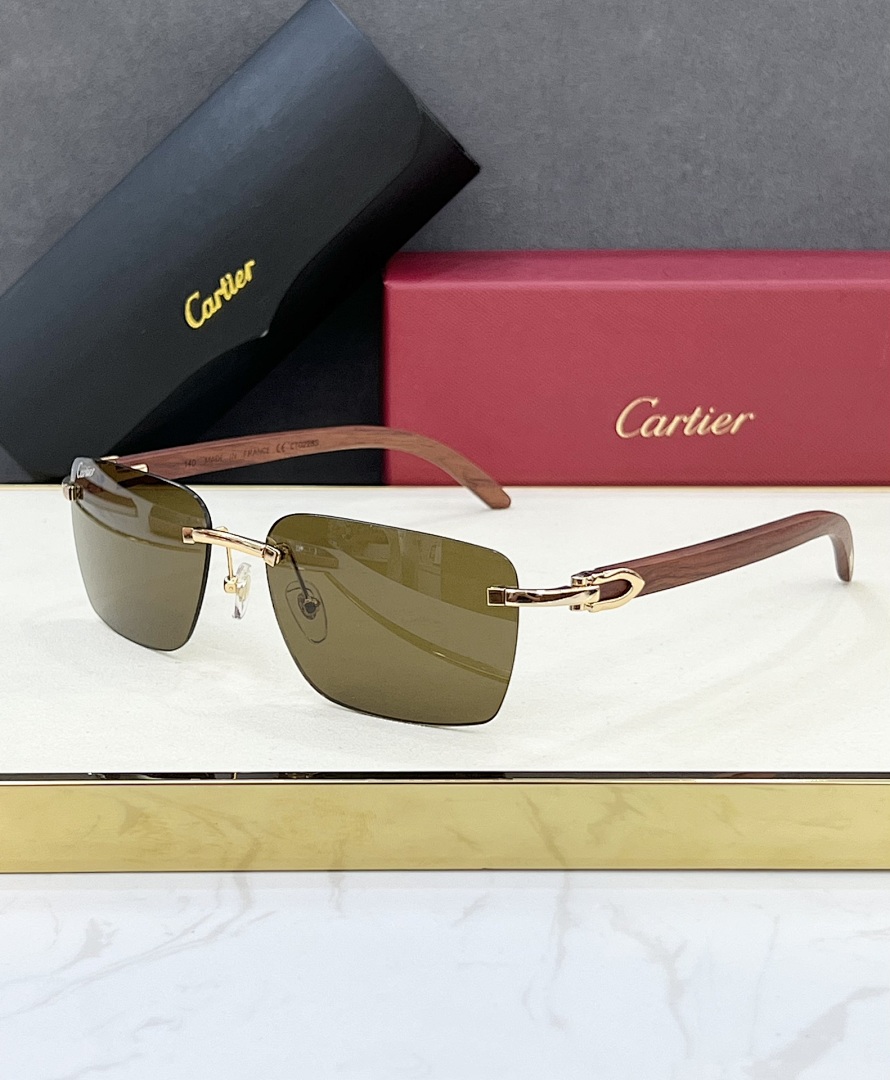 CartierMODEL:CT0228SSIZE 55, photo 1