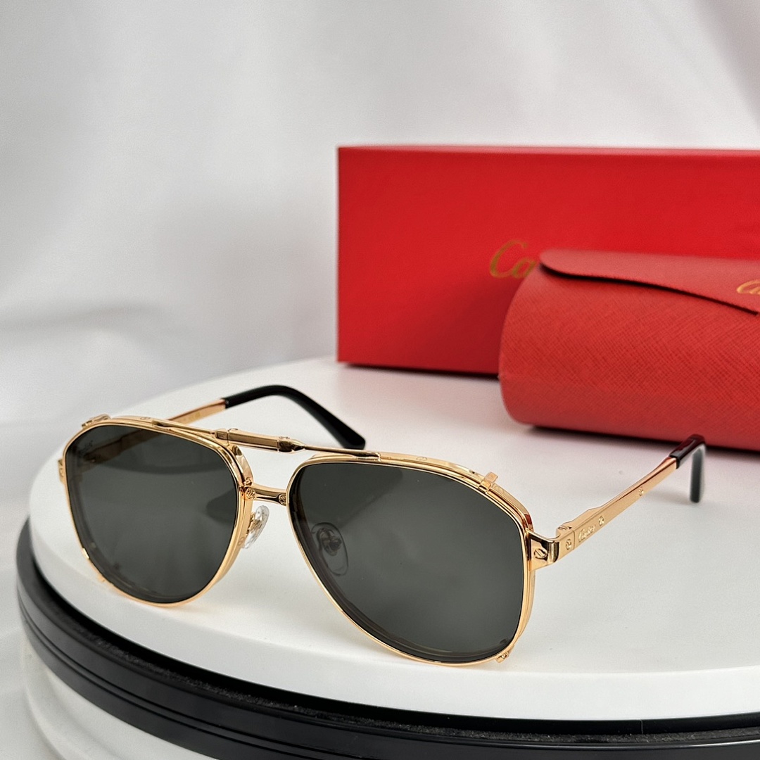 CartierMODEL:CT0635SSIZE:60, photo 1