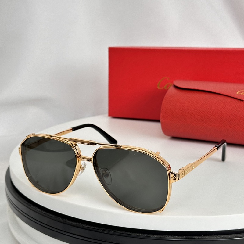 CartierMODEL:CT0635SSIZE:60, photo 1