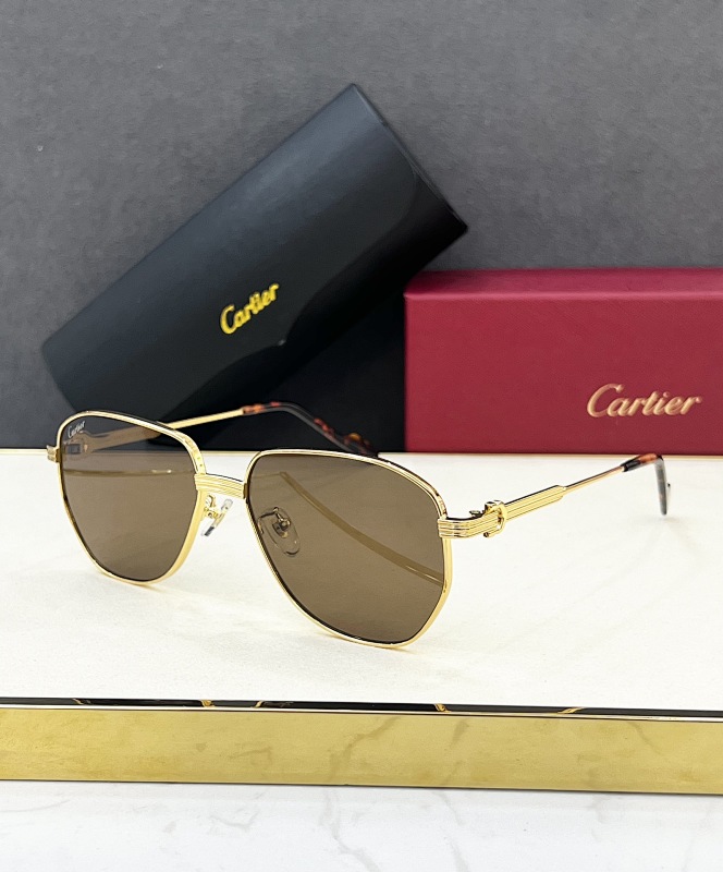 CartierMODEL:CT0484OSIZE:58 15-145_199, photo 1