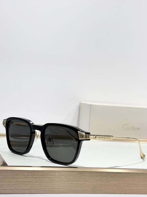 Other CartierMOD:CT0612OASize:52 20, photo 1