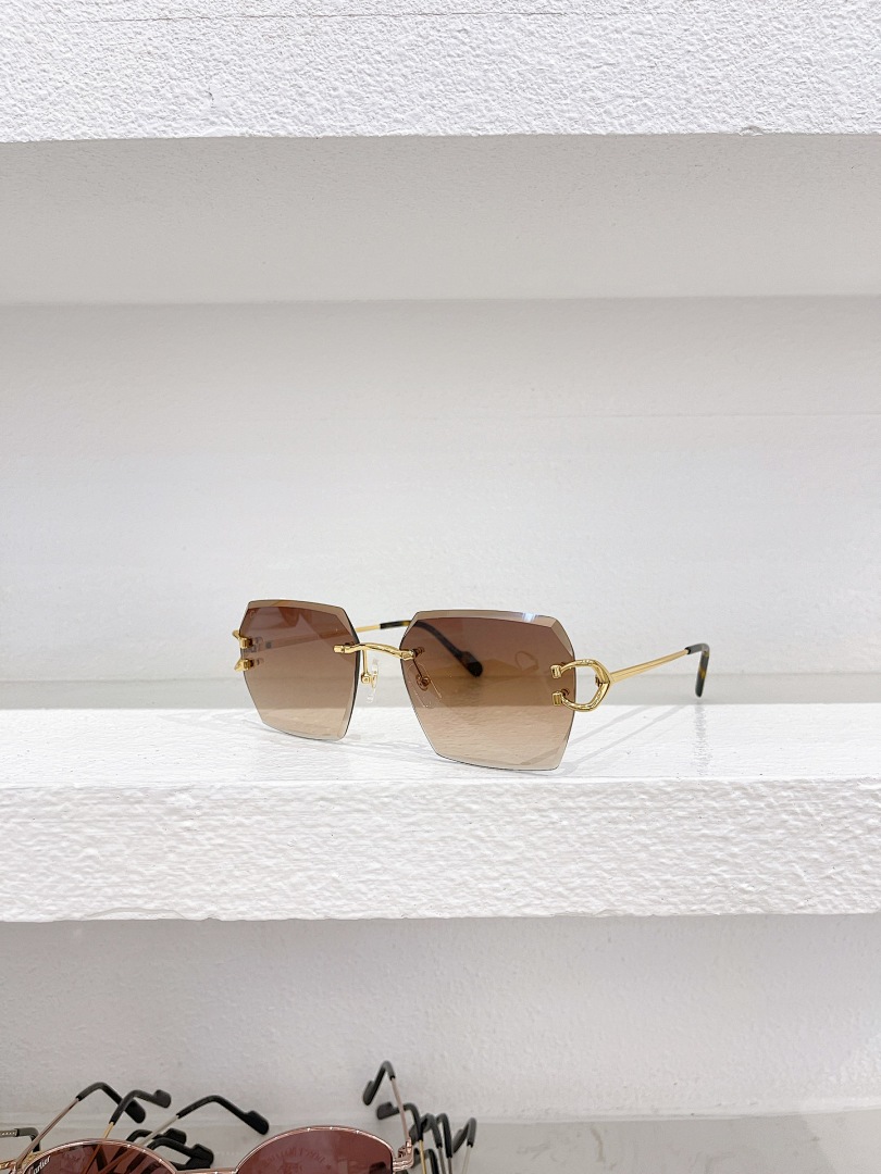 CartierMODEL:CT0466SSIZE:58 16-145_212, photo 1