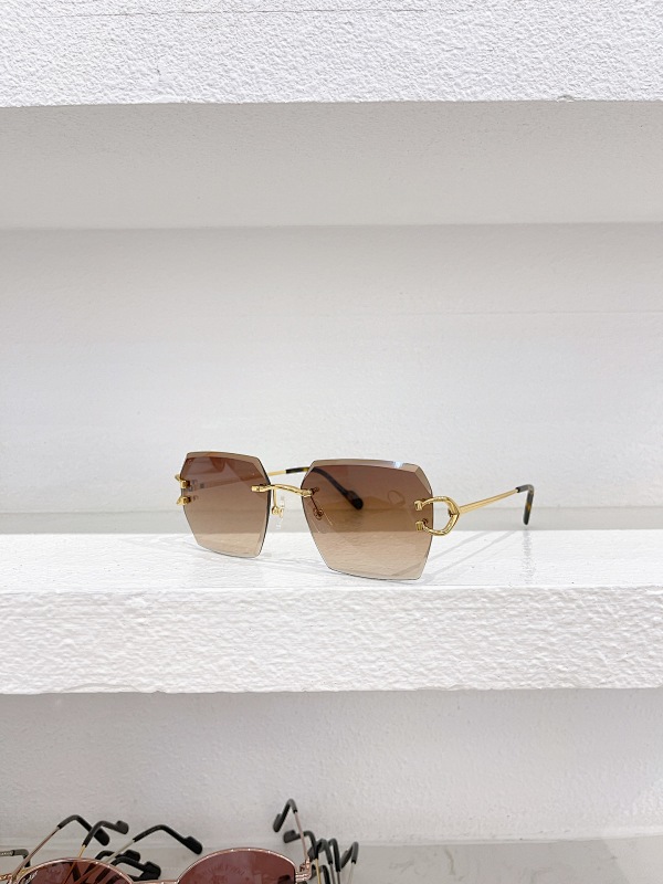 CartierMODEL:CT0466SSIZE:58 16-145_212, photo 1