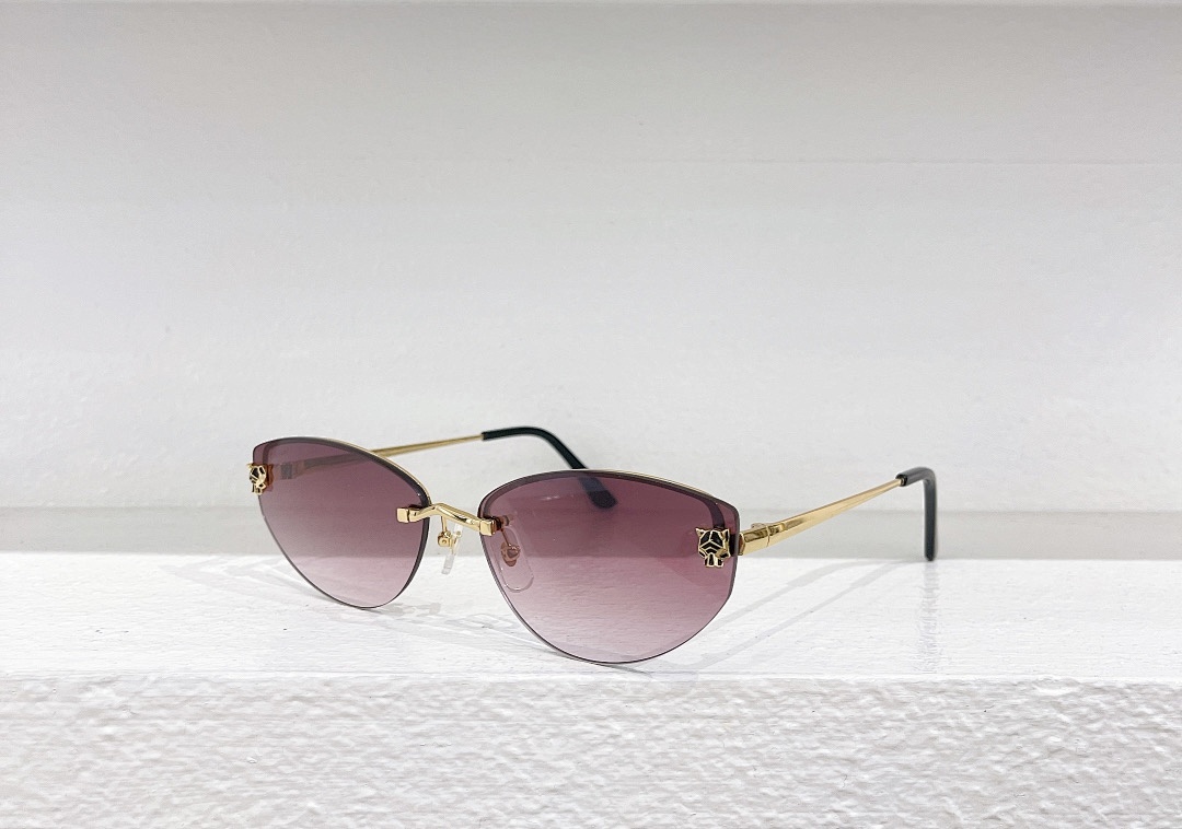 CartierMODEL:CT0431S SIZE:65, photo 1