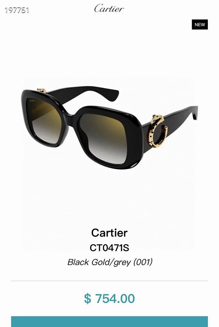 CartierMODEL:CT0471SSIZE 53 19-140_, photo 1