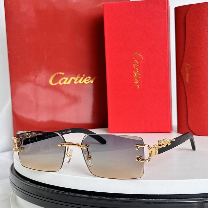 CartierMODEL:CT0560S SIZE 60, photo 1