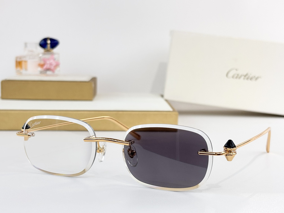 CartierMOD:CT0720SSize:55 18, photo 1