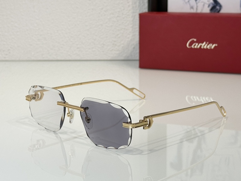CartierMod:CT0113OSize:55, photo 1