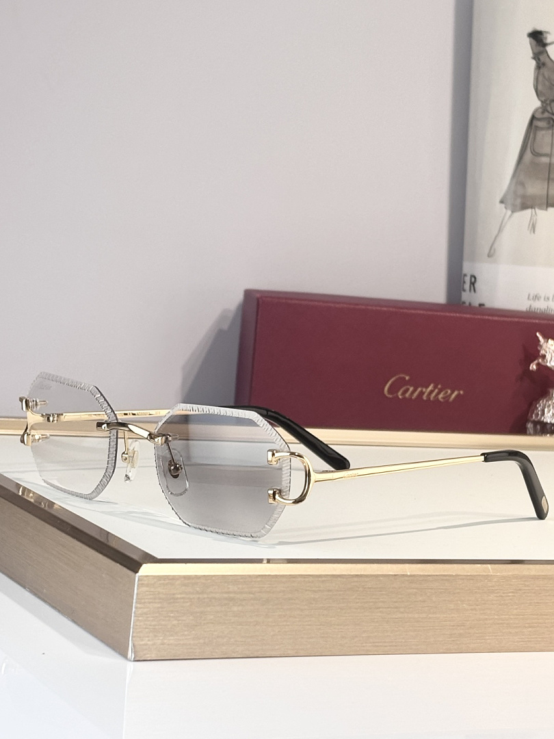 Other CartierMOD:CT0092OSize:55, photo 1