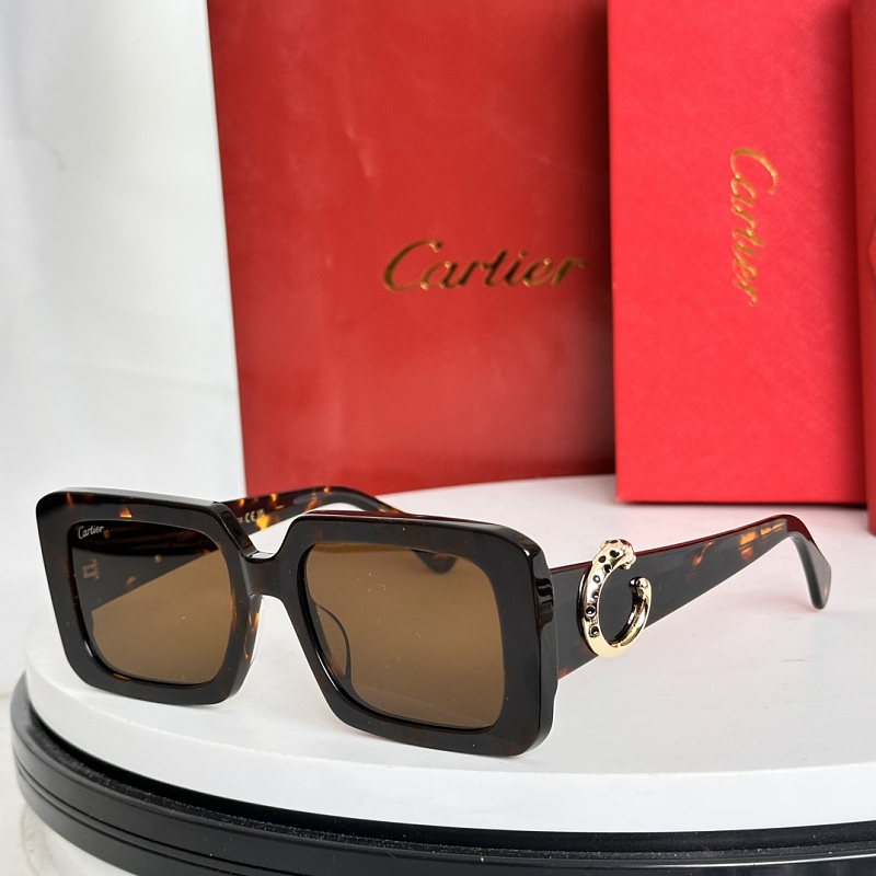 Other CartierMODEL:CT0896S SIZE:52, photo 1