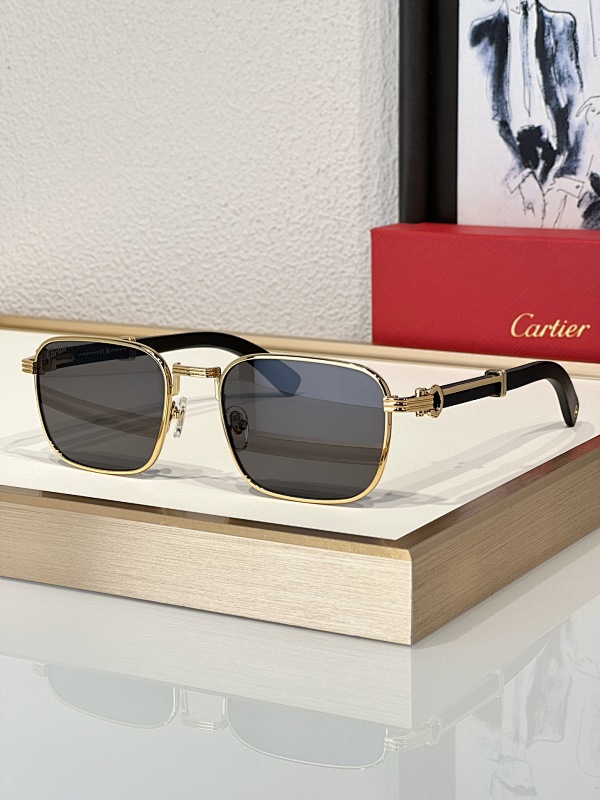 CartierMod:CT0363SSize:54-21-145_, photo 1