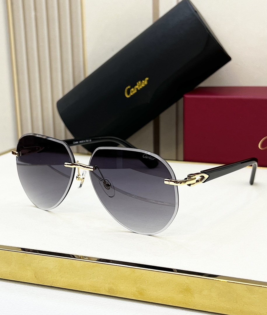 CartierMODEL: CT0440S Size:61, photo 1