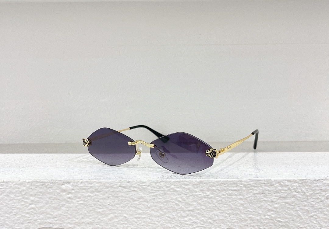 Other CartierMODEL:CT0433SSIZE:55, photo 1