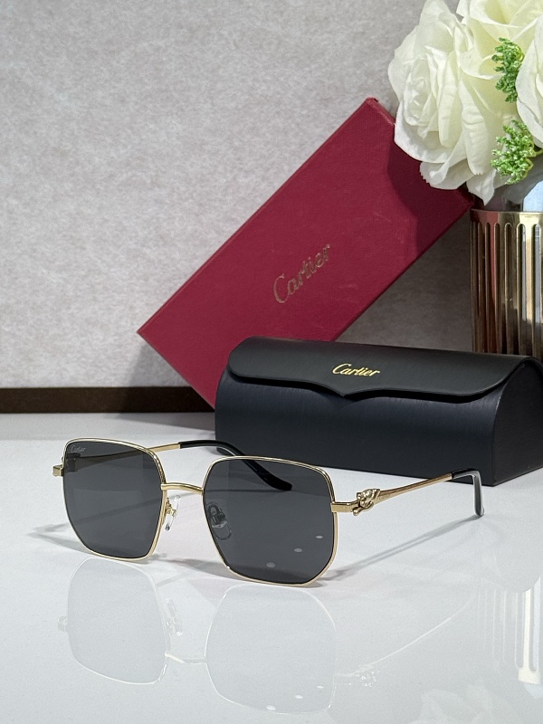 CartierMODEL:CT0568OSIZE55-18-135_, photo 1
