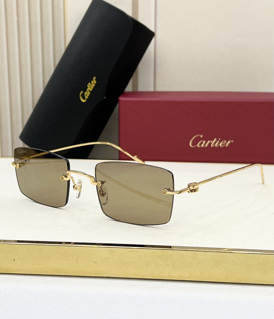 CartierMODELCT0367SSIZE54-20-140_, photo 1