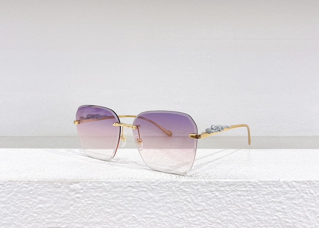 CartierMODEL:CT0544SSIZE 53 20-140_, photo 1