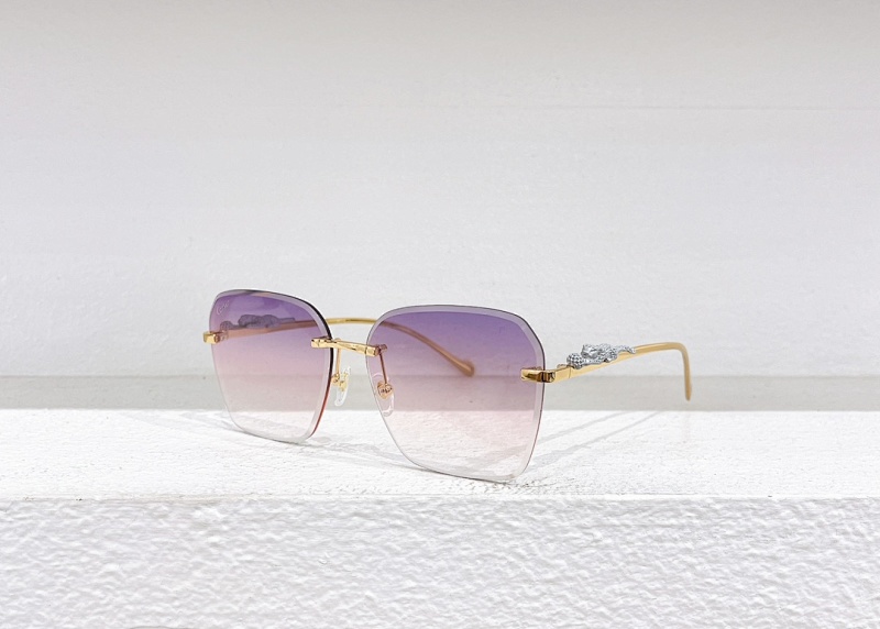 CartierMODEL:CT0544SSIZE 53 20-140_, photo 1