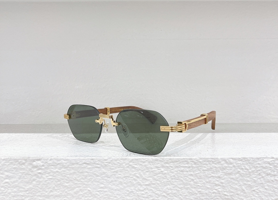 CartierMODEL:CT0362SSIZE 58, photo 1