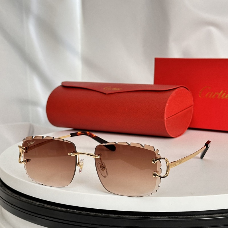 CartierMODEL:CT0092OSIZE:55 18-135_, photo 1