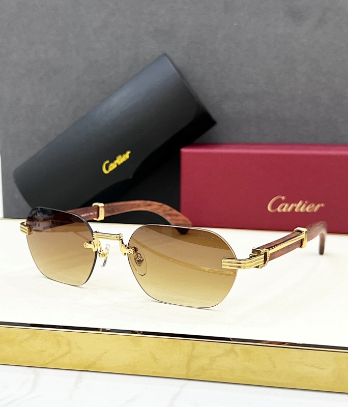 Other CartierMODEL:CT0362SSIZE:58, photo 1