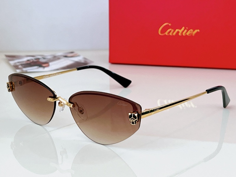 Cartier CT0431SSize:65, photo 1