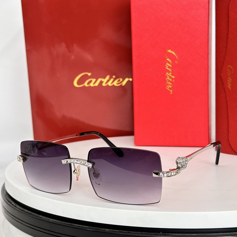 CartierMODEL:CT0498SIZE:57, photo 1