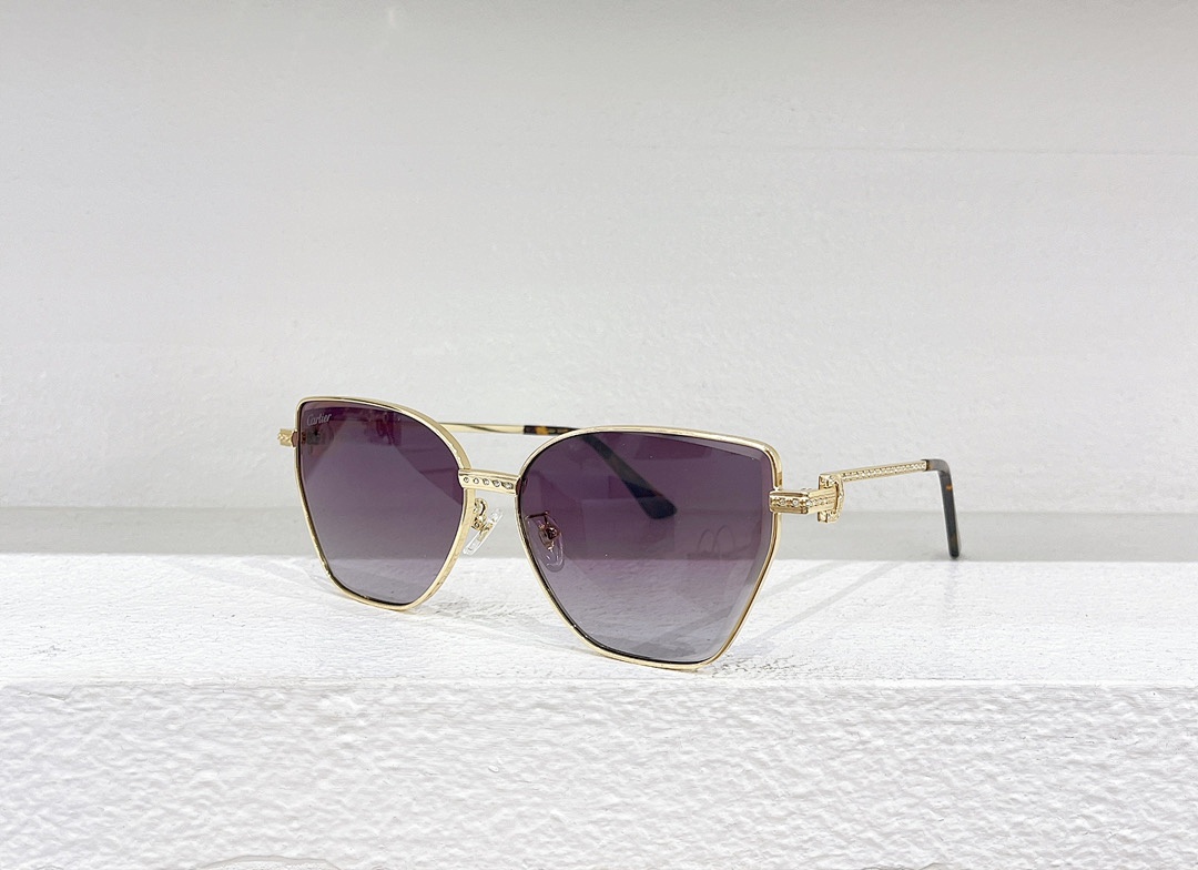 CartierMODEL:CT1174SSIZE:60 16-145_, photo 1
