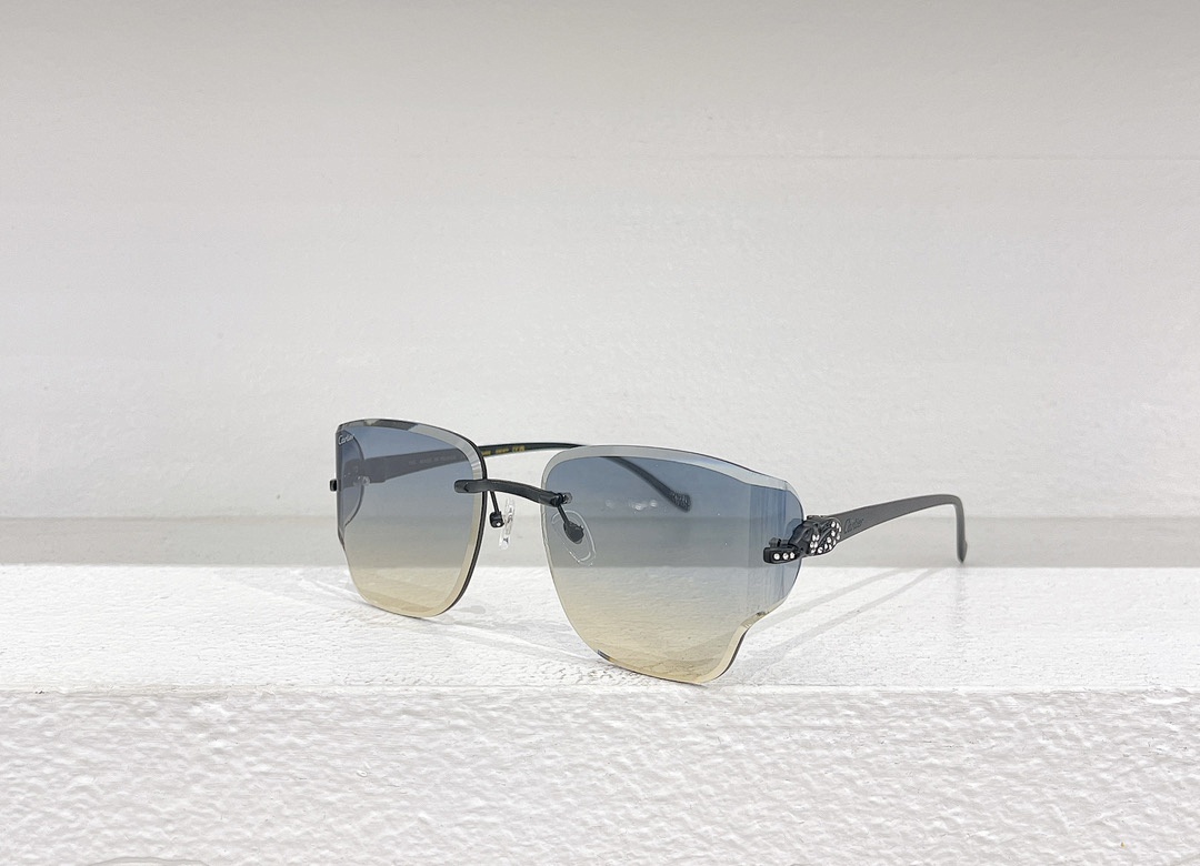 CartierMODEL:CT0546SSIZE:59 17-130_, photo 1