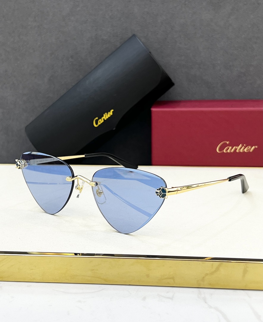CartierMODEL:CT0399SSIZE:62, photo 1
