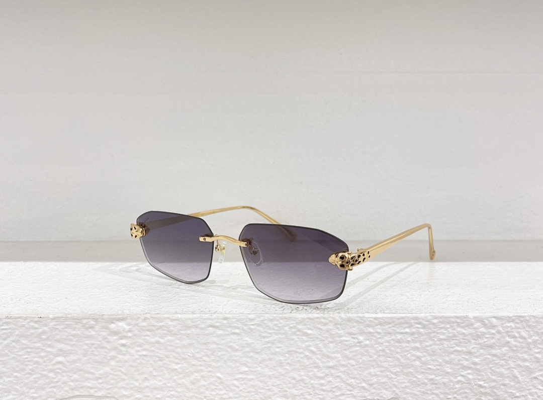 Other CartierMODEL:CT0583SSIZE:59 15-143_, photo 1