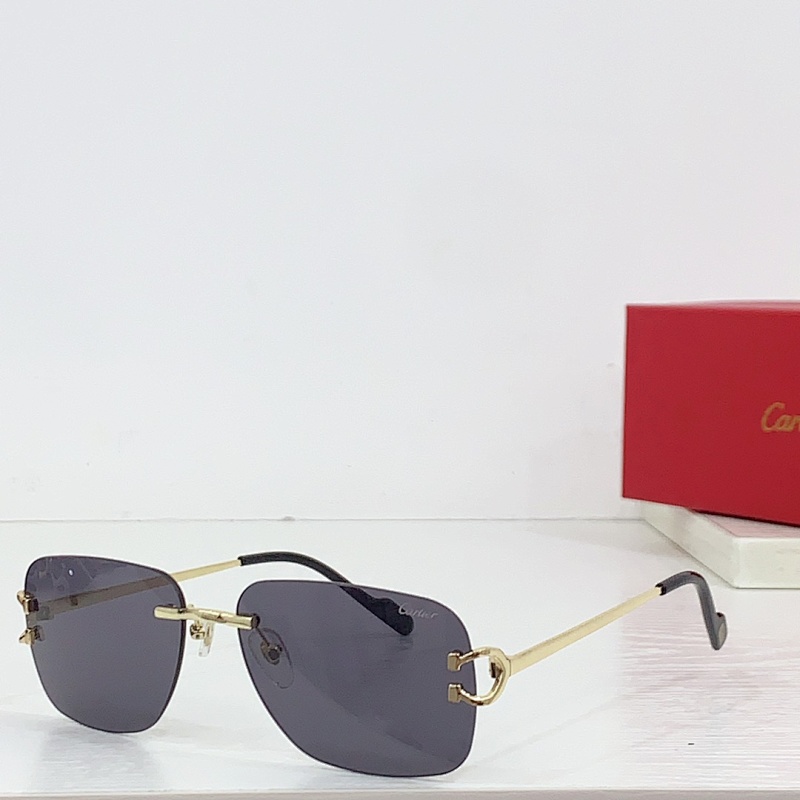 CartierMODEL CT0330SSize:57, photo 1