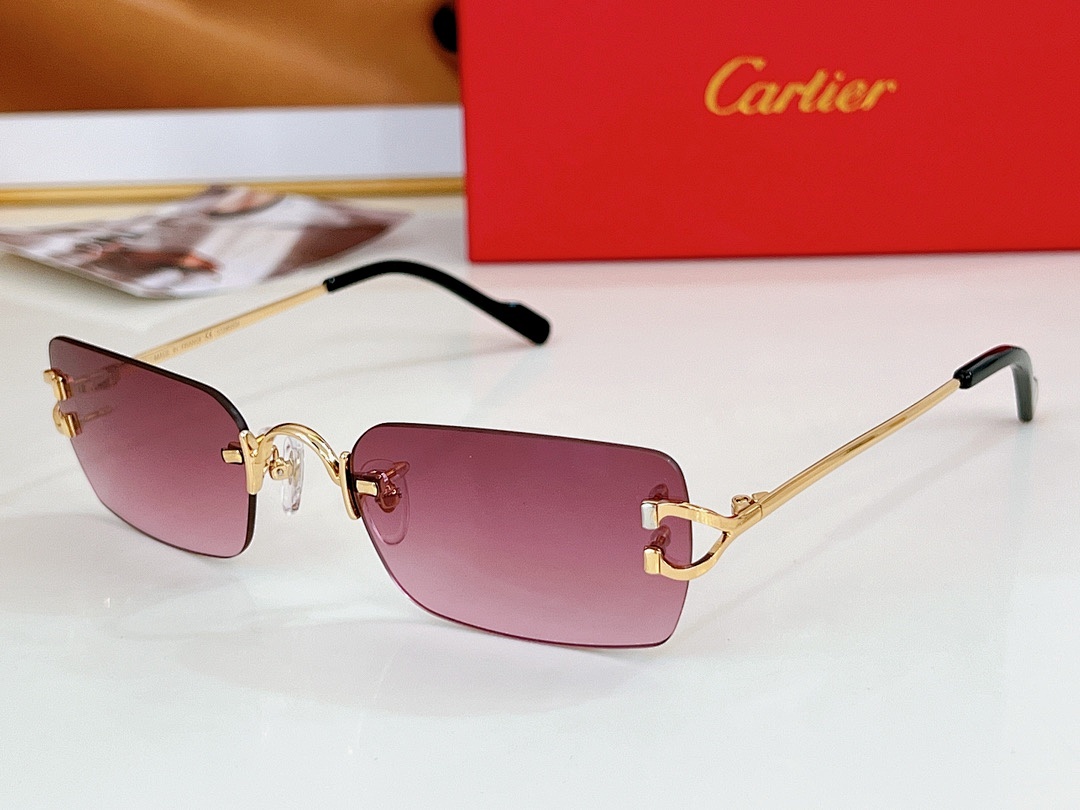 CartierCT2452234SIZE:55, photo 1