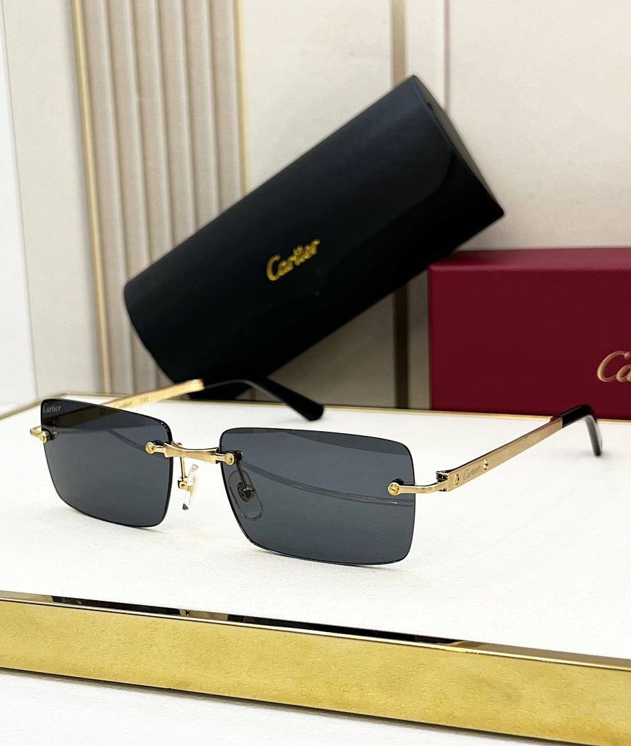 Other CartierMODEL:CT0568SSIZE:55, photo 1