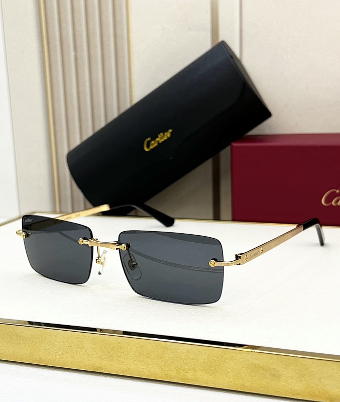 Other CartierMODEL:CT0568SSIZE:55, photo 1