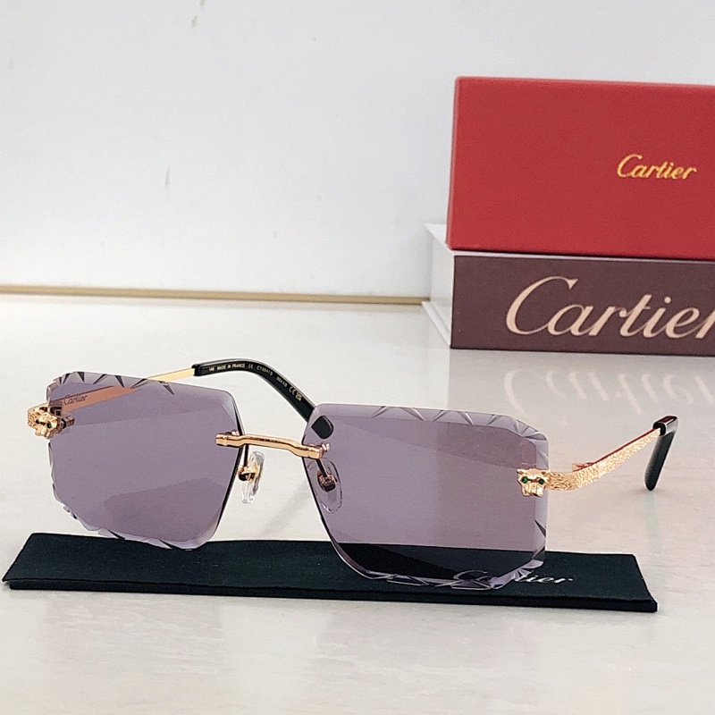 CARTIERModel, photo 1