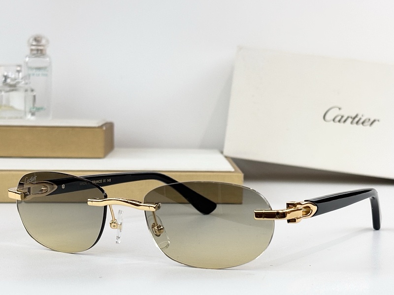 Other CartierMOD:CT0455OSize:52 16, photo 1