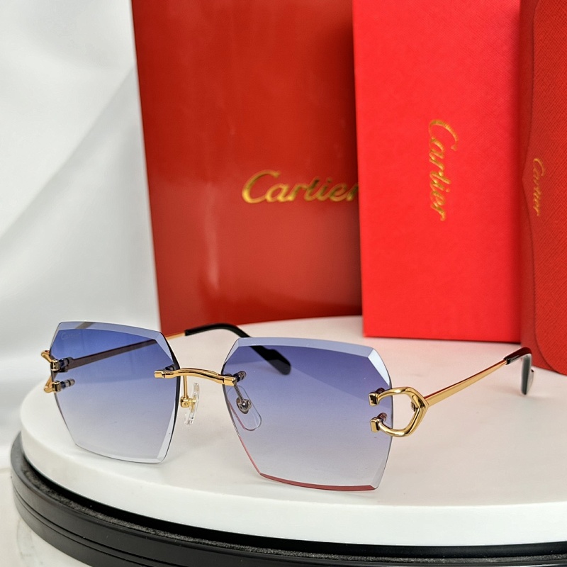 CartierMODEL:CT0466O SIZE 58, photo 1