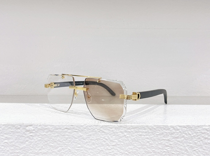 CartierMODEL:CT0527SSIZE 61 15-140_, photo 1