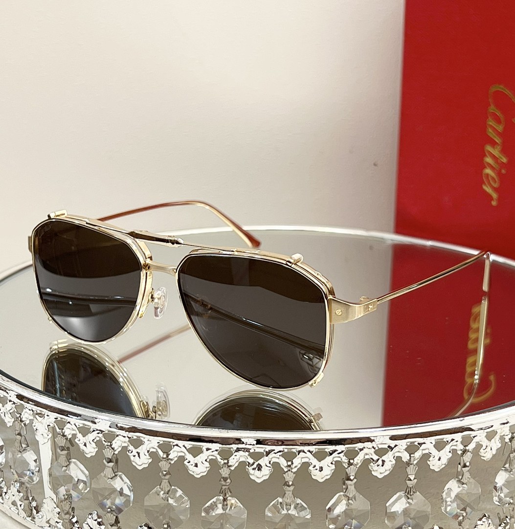 CartierMODEL:CT0352OSIZE:56, photo 1