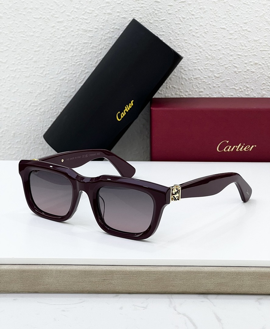 CartierMODEL:CT0508SSIZE:52, photo 1
