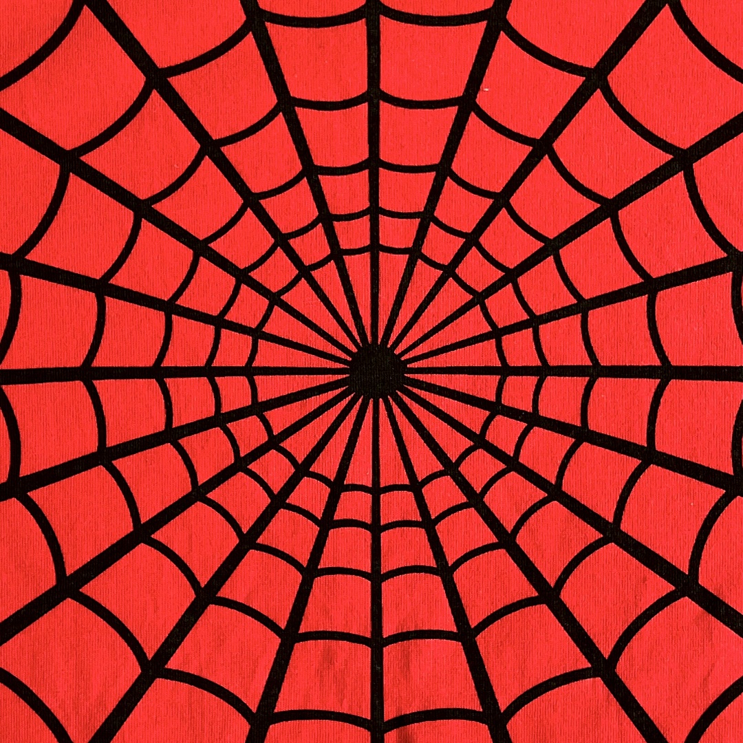 Supreme Spider Tee - Image 10