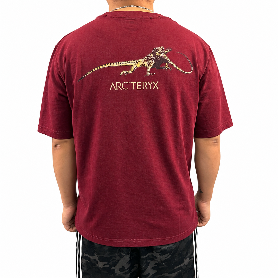Arc'teryx Arc Vintage Tee - Image 17