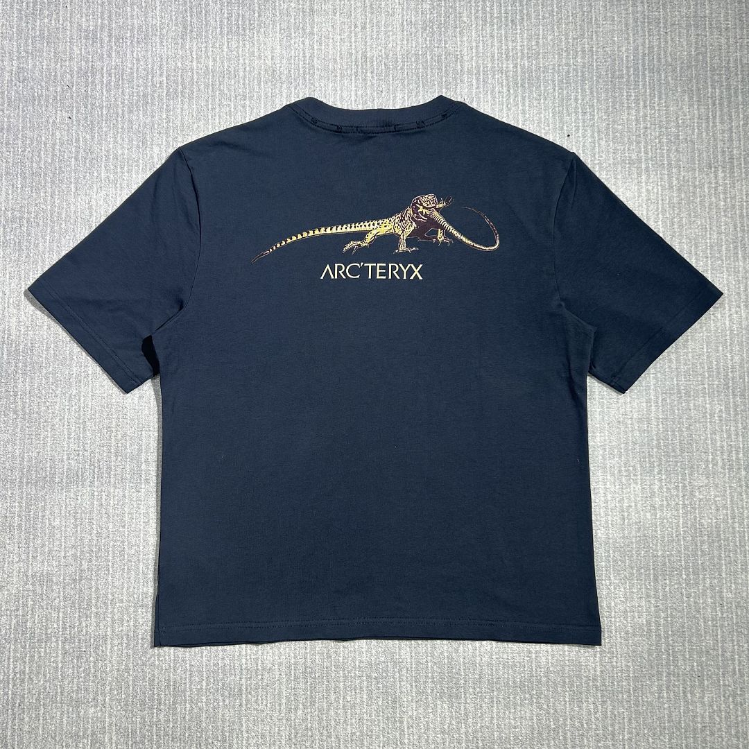 Arc'teryx Arc Vintage Tee