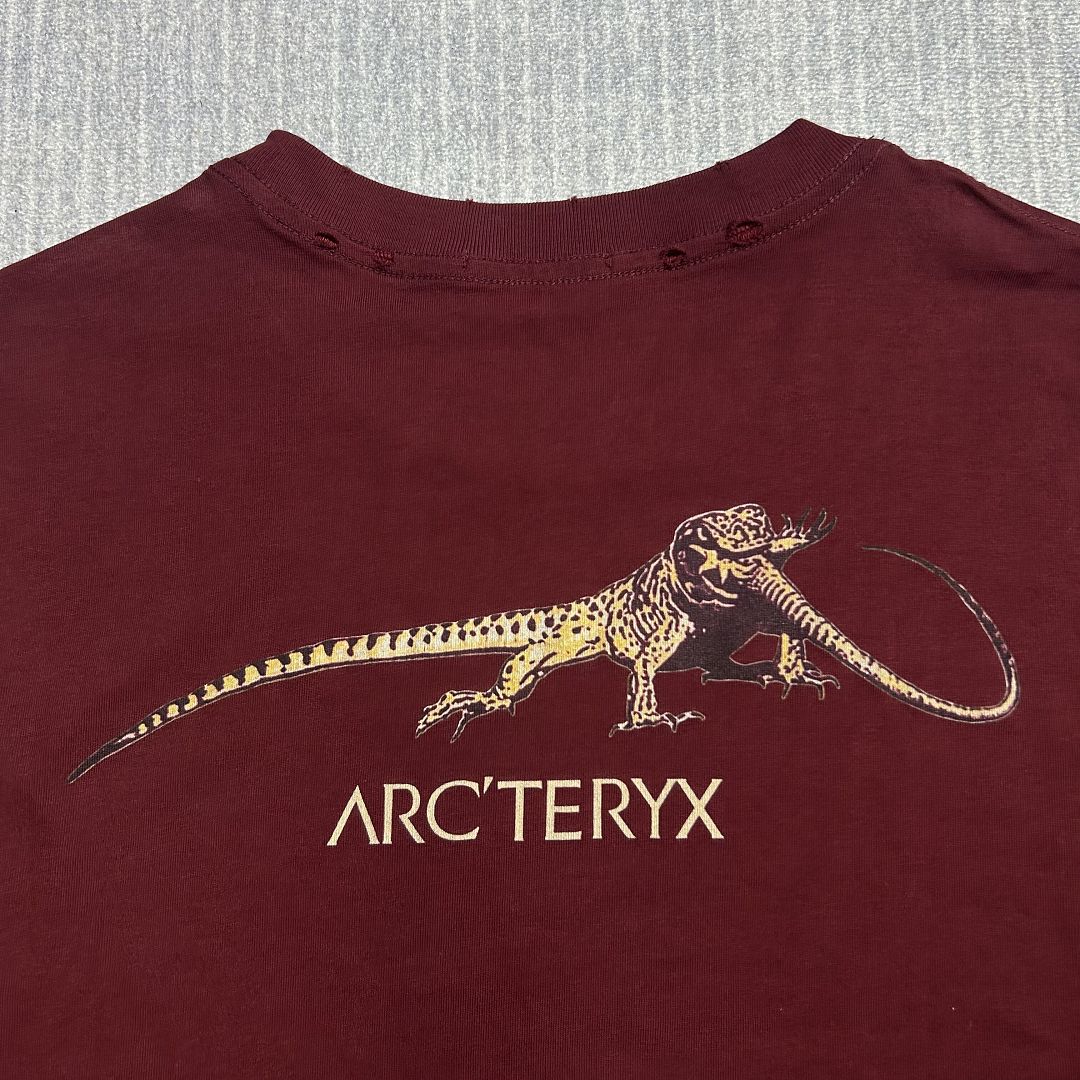 Arc'teryx Arc Vintage Tee - Image 12