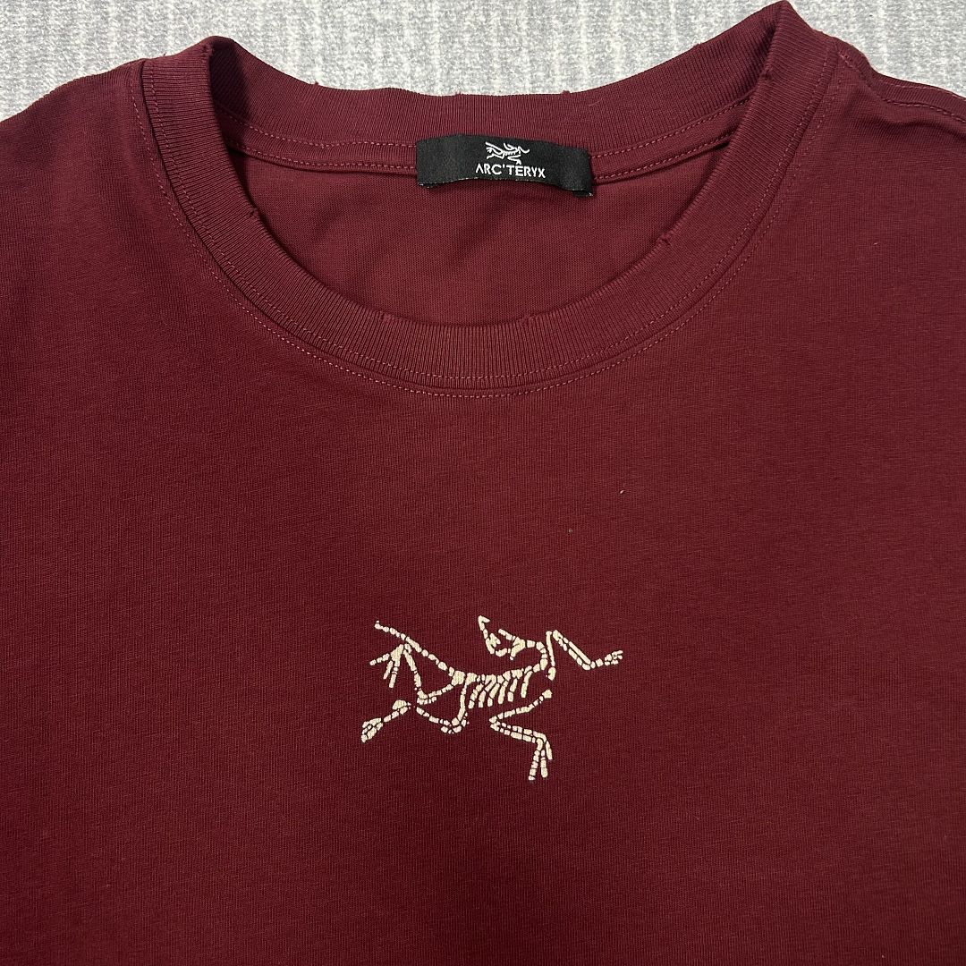 Arc'teryx Arc Vintage Tee - Image 10