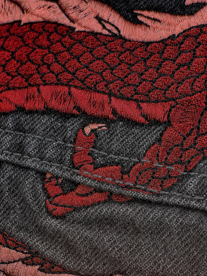 Mobius Dragon Jorts - Image 8