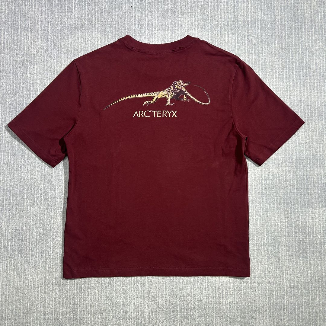 Arc'teryx Arc Vintage Tee - Image 11