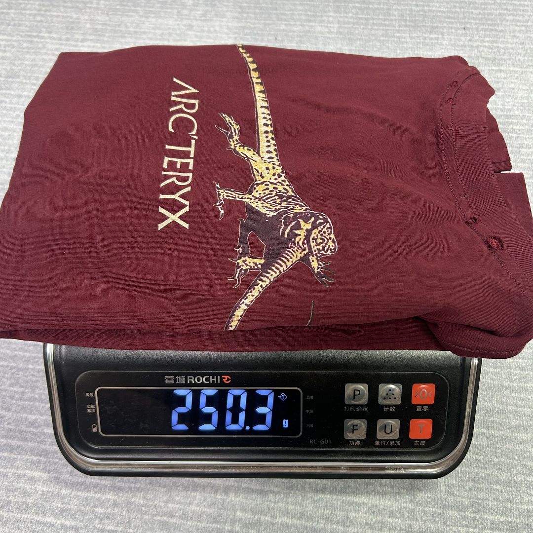 Arc'teryx Arc Vintage Tee - Image 19