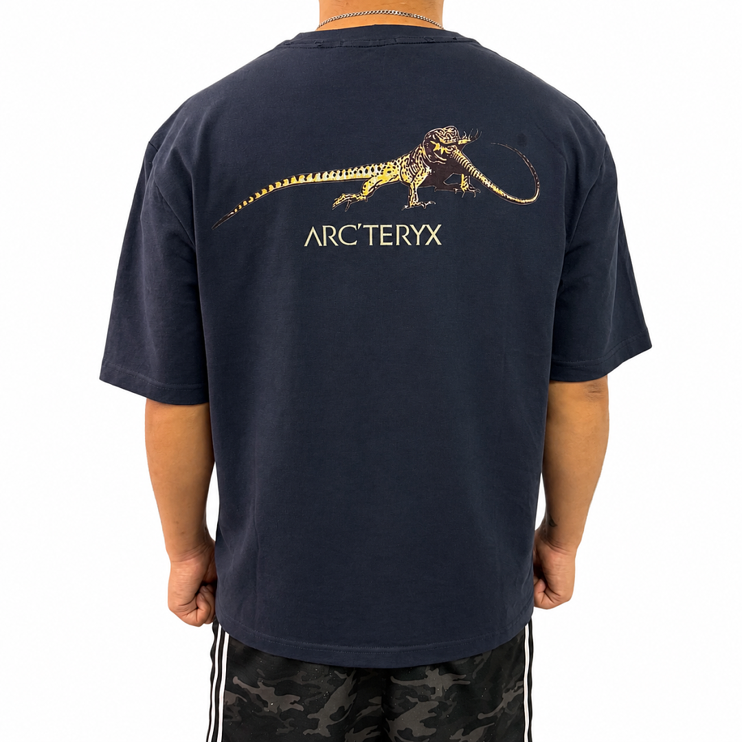 Arc'teryx Arc Vintage Tee - Image 14
