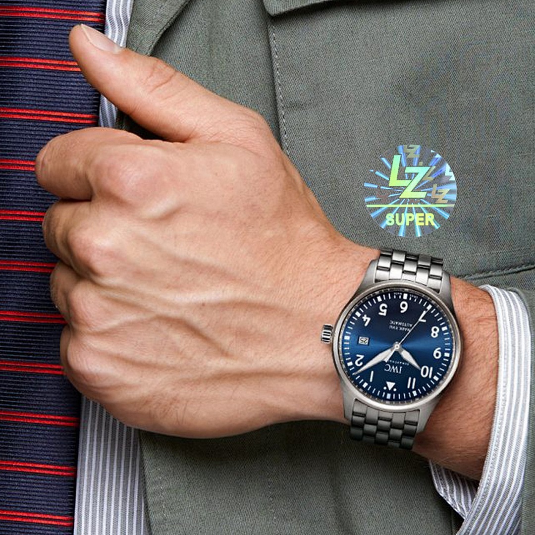 Other IWC - Image 4